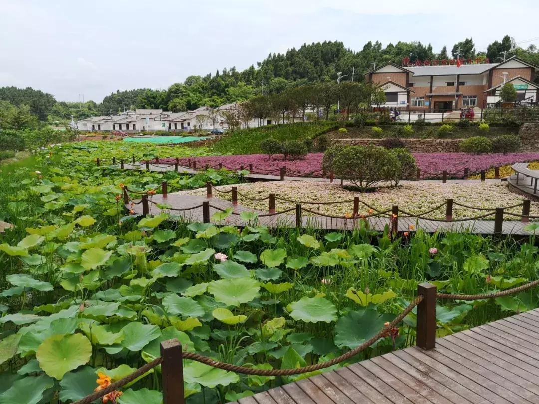 简阳五一有什么好玩的地方,国庆七天假去什么地方玩