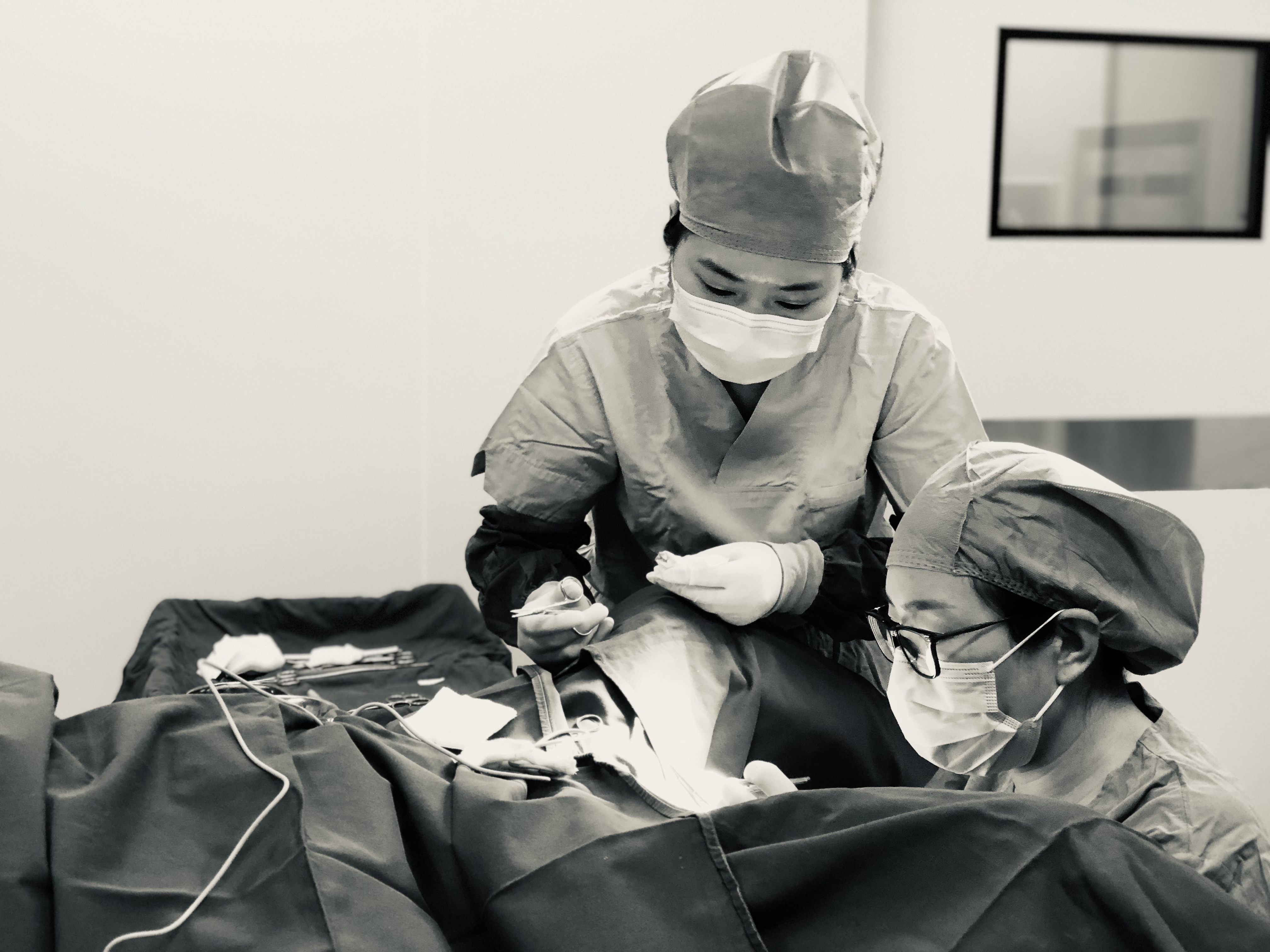 揭秘私密整形内幕,私密整形手术有几种