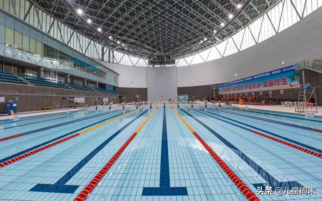 深圳游泳培训班哪家最好,深圳哪里有游泳培训班