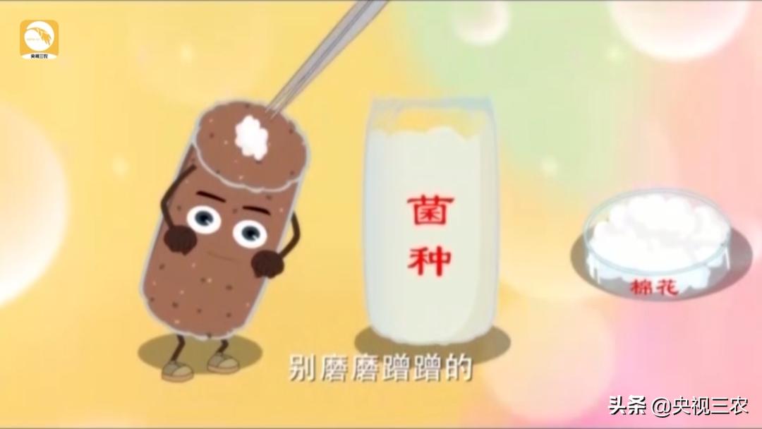 木耳一年利润多少钱,木耳赚钱案例