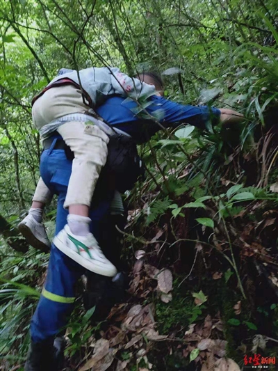 四川雅安暴雨已致6人死亡,雅安市雨城区暴雨受灾情况