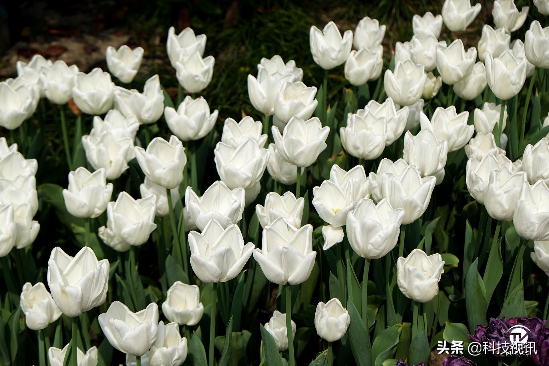 富士X-T30二代评测,富士x-t30开机键在哪儿