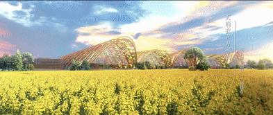 创业园区成都,2020年脑洞大开的创业项目