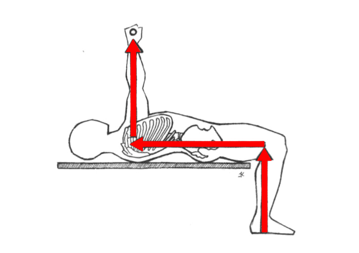 卧推超级干货,卧推干货细节
