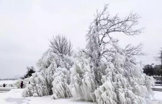 因同一件事违规，大庆多名干部受处分