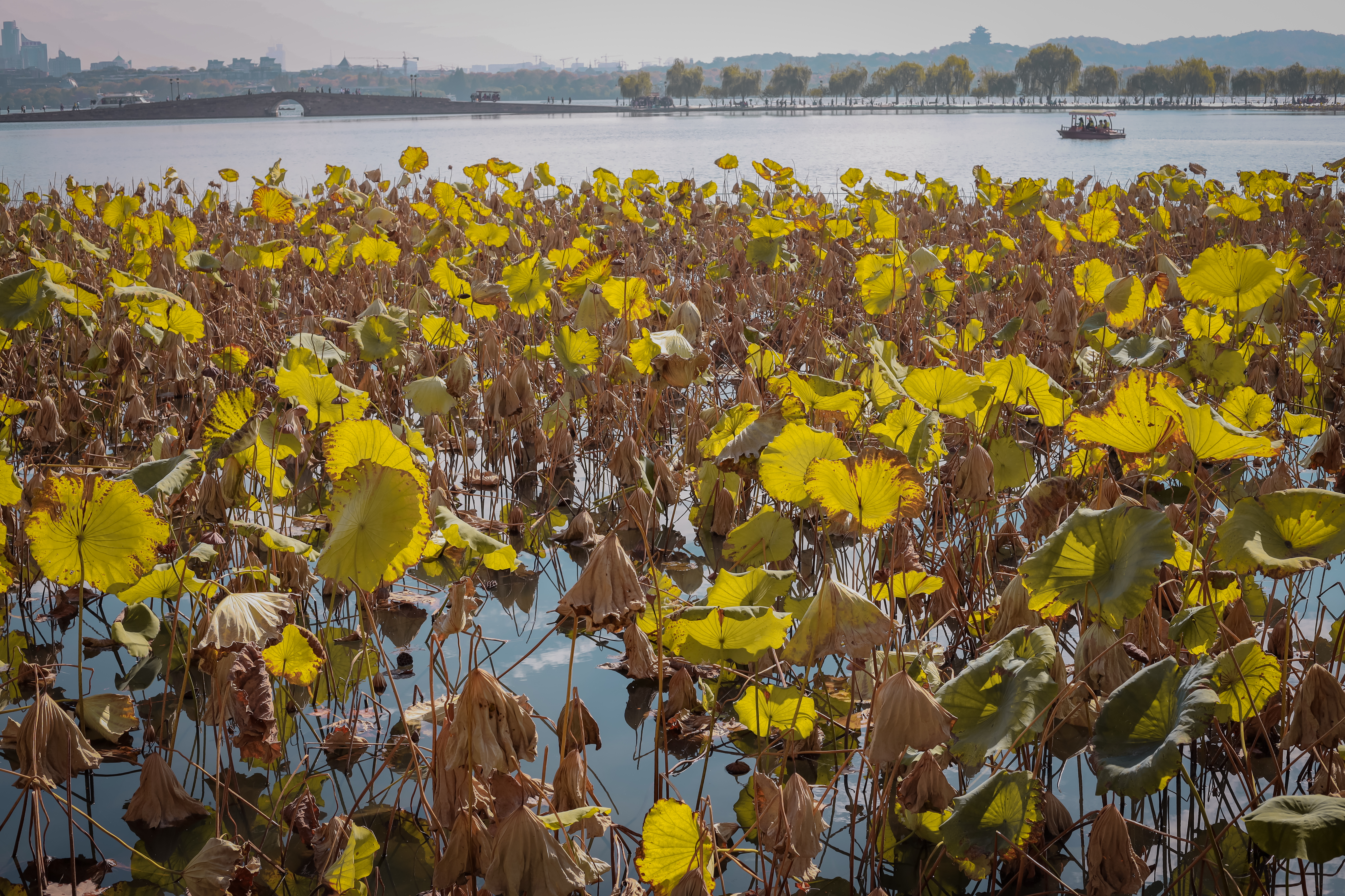 杭州西湖小众旅游攻略,西湖旅游打卡攻略