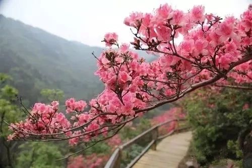 再过30天全世界都会羡慕中国的美,再过一个月全国都要羡慕昆明吗