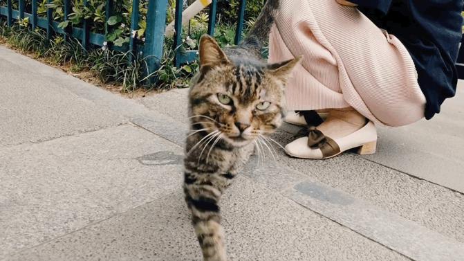 旅游拍摄vlog设备攻略,我的vlog旅游视频