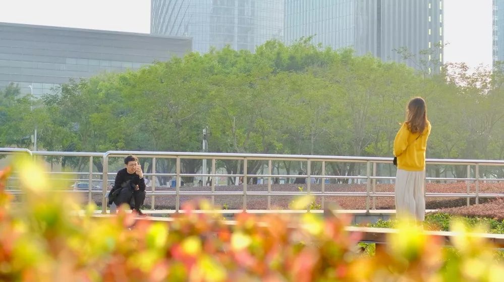 宝安西部中心,宝安中心