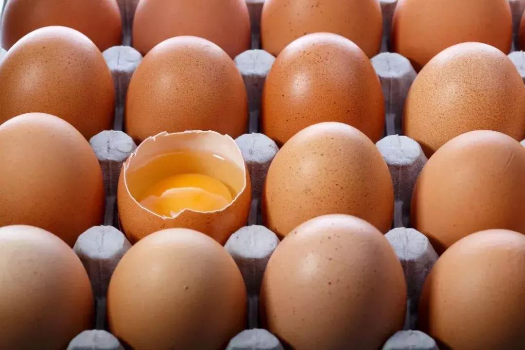 鸡蛋过敏的孩子吃什么早餐,孩子鸡蛋过敏该吃什么补充营养呢