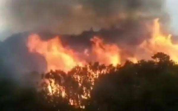 应试教育对孩子成长不利,应试教育下孩子们的身心问题