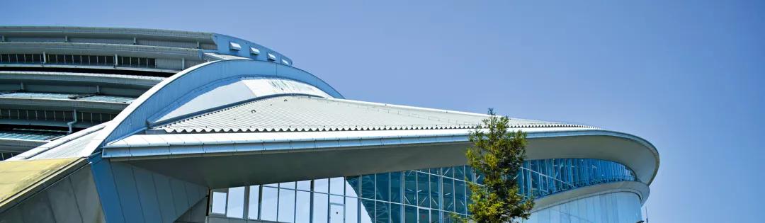 橄榄球世界杯决赛地点,橄榄球世界杯比赛回放