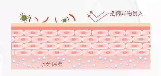 风很大又好用的化妆品,风很大的大牌护肤品