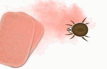 创意灵感家居用品,实用又美观的家居用品