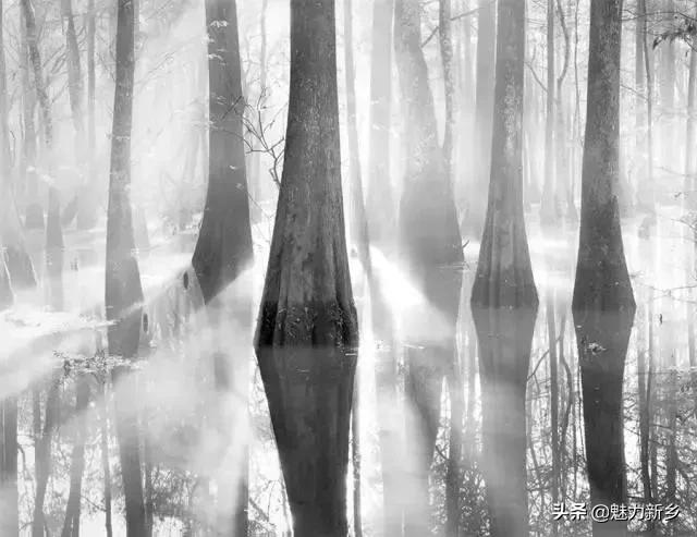 摄影技巧都有哪些方面的内容,1个摄影秘诀4个摄影技巧