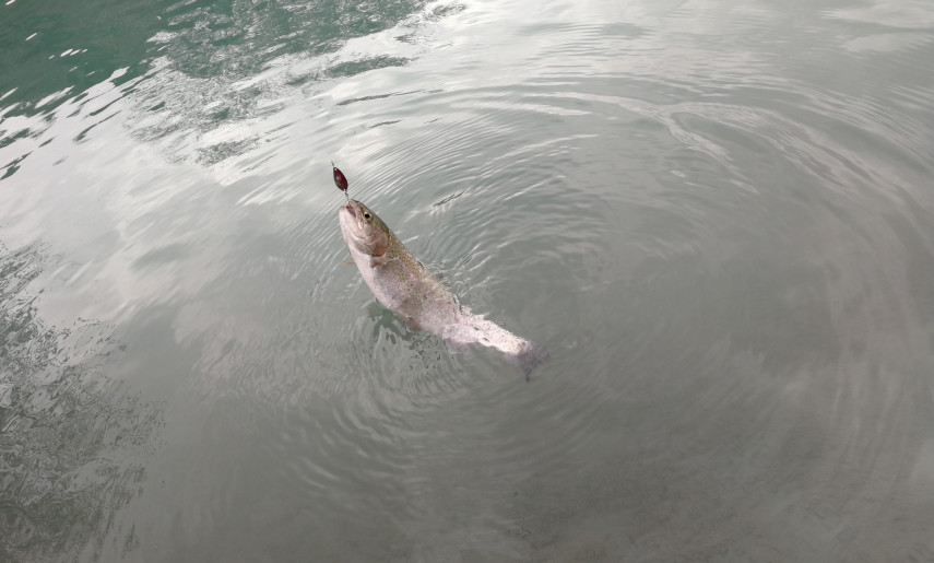 15天8000里，我们刚去名古屋和日本人抢了个五一假期