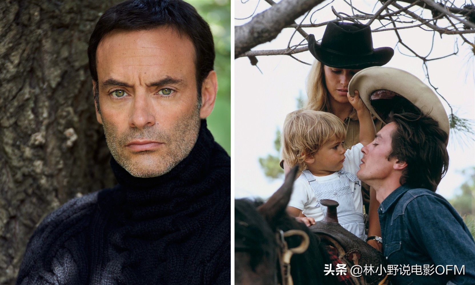 阿兰·德龙悼词披露细节，茜茜公主罗密到底是怎么死的？