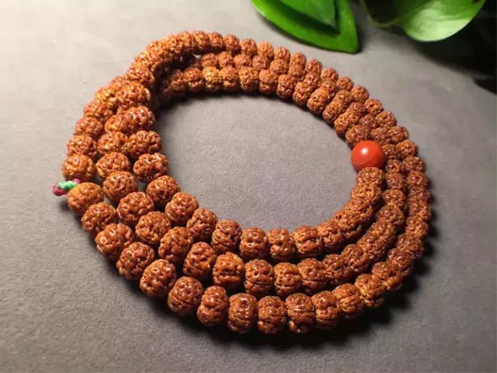 金刚菩提子手串知识大全,讲解金刚菩提的书籍