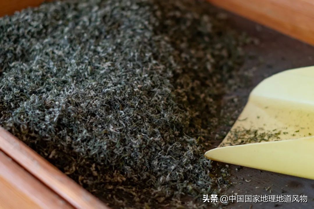 中国茶叶分布图,中国茶区详细分布图