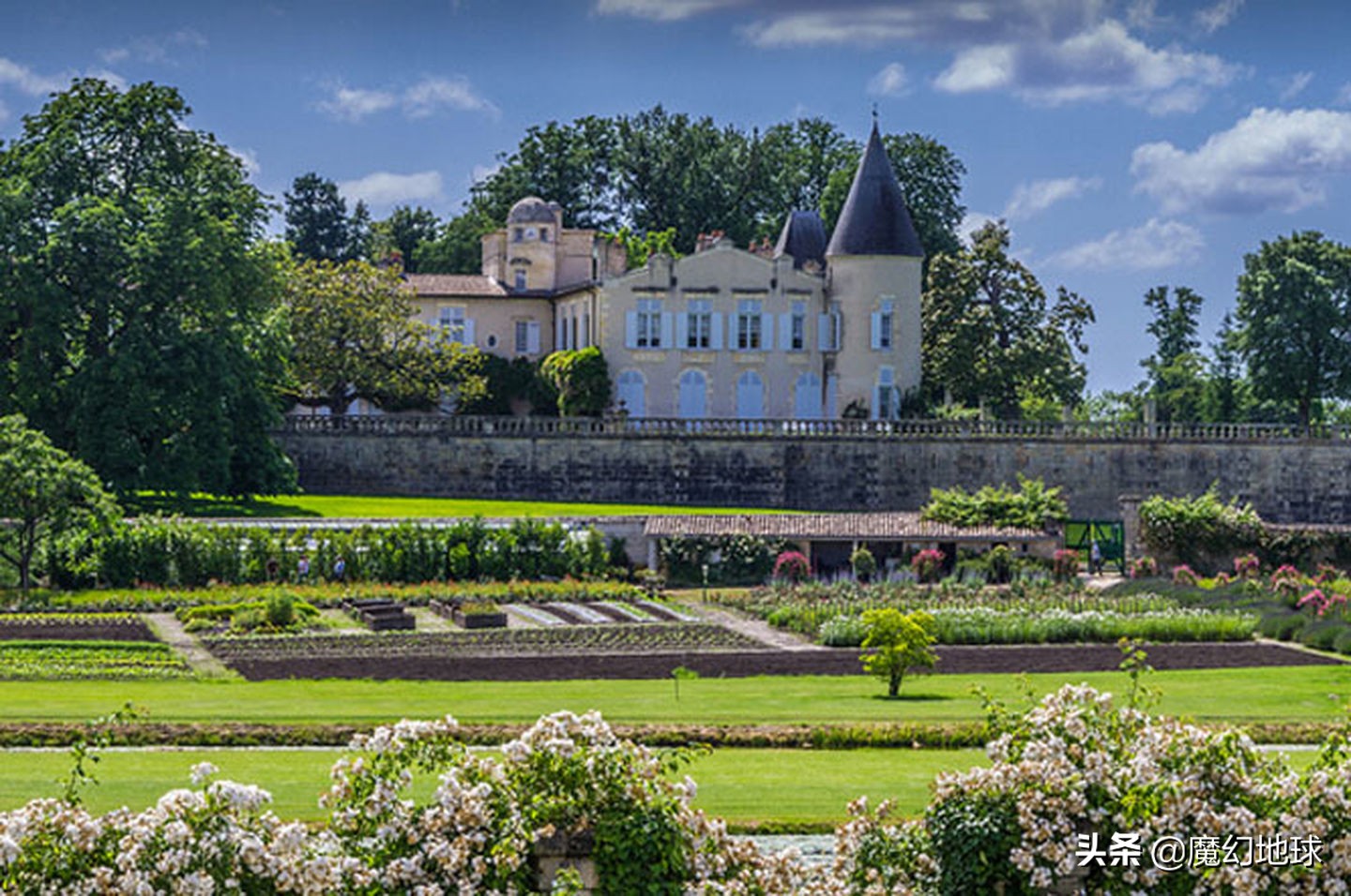 拉菲罗斯柴尔德红酒,罗斯柴尔德拉菲酒庄