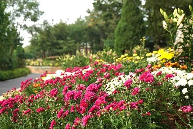 大连重阳节旅游攻略,大连九月秋游攻略