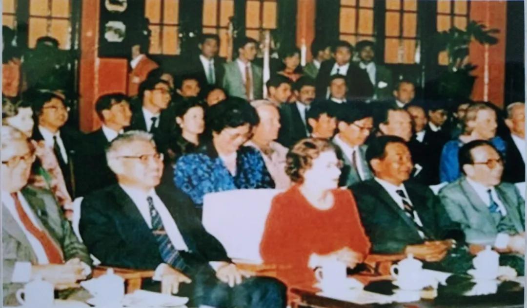 云南腾冲碧玉茶,腾冲茶有哪些