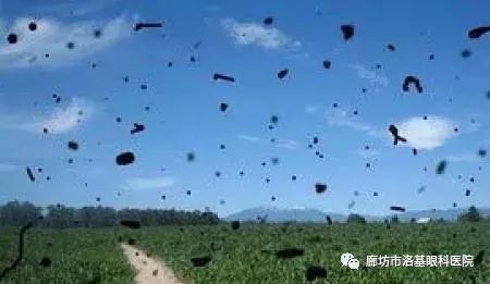 怎么判断是飞蚊症还是真的有蚊子,生活小妙招飞蚊症自愈的最佳方法