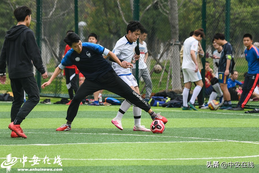 合肥市内体育场馆开放通知,合肥体育中心对外开放时间