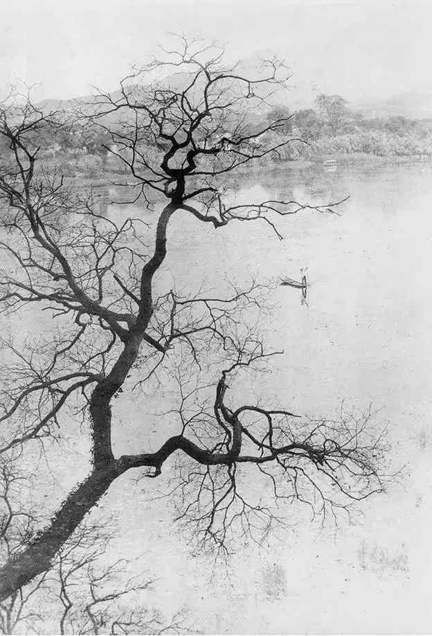 秋天正好拍水墨中国风，你试试这些题材