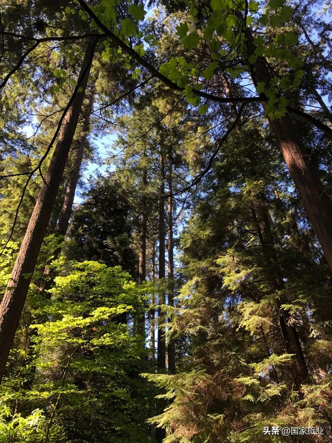 李蔚|旅游局的时代重任，是与目的地潮汐共振