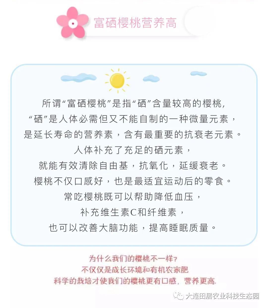 大连樱桃和其他产区樱桃口感区别,山东樱桃和大连樱桃哪个好