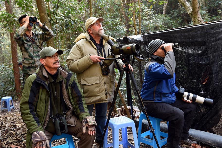 中国绿都最氧三明,中国绿都最氧三明春回大地