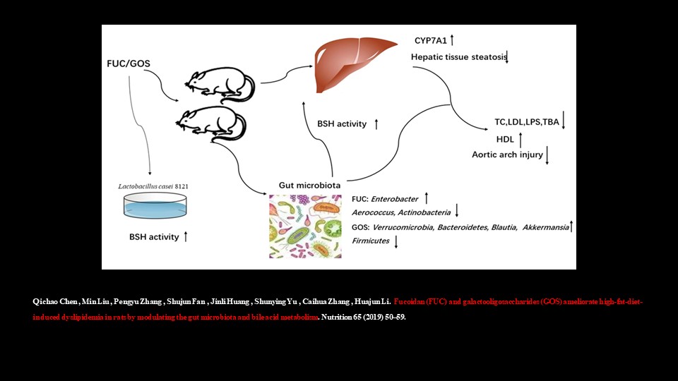 肠道菌群最新科研进展,肠道菌群与疾病的研究进展