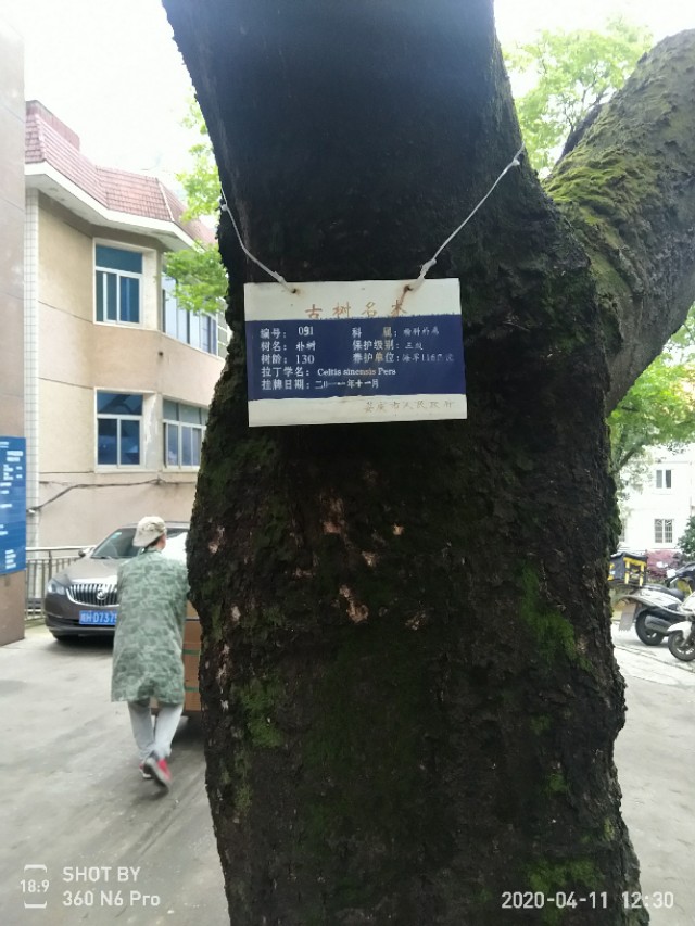 安庆海军116医院影像科,海军安庆116医院属于部队吗