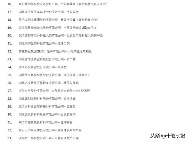 湖北隐形冠军,十堰企业100强名单