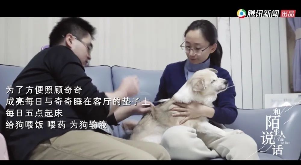 能治好所有病的宠物医生,宠物医生治不好自己的宠物