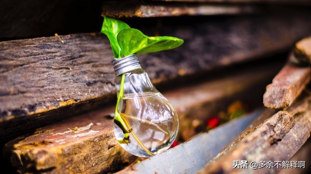 拥有乐观的心态和快乐的心境,乐观的心态对身体健康的好处