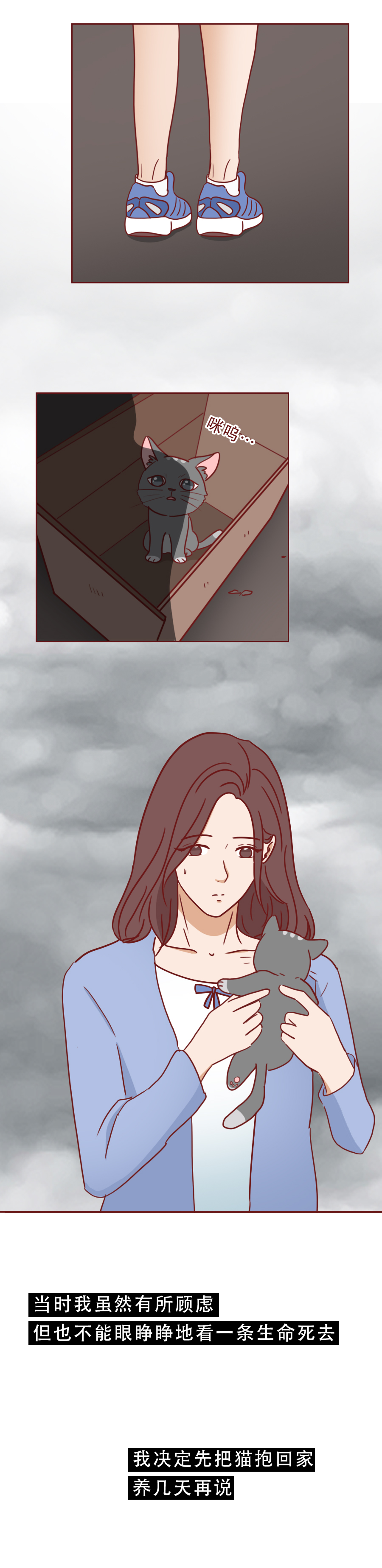 捡回来抑郁的猫,捡回一只小猫原居民抑郁了