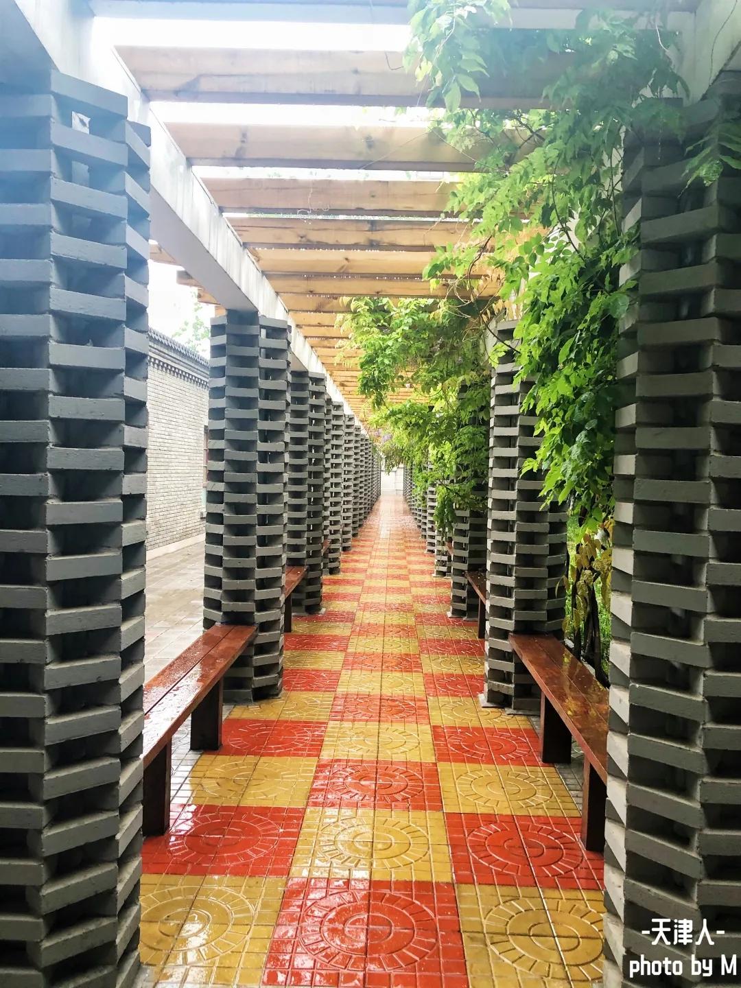 天津市南开中学全国排名,南开中学在全国有几所