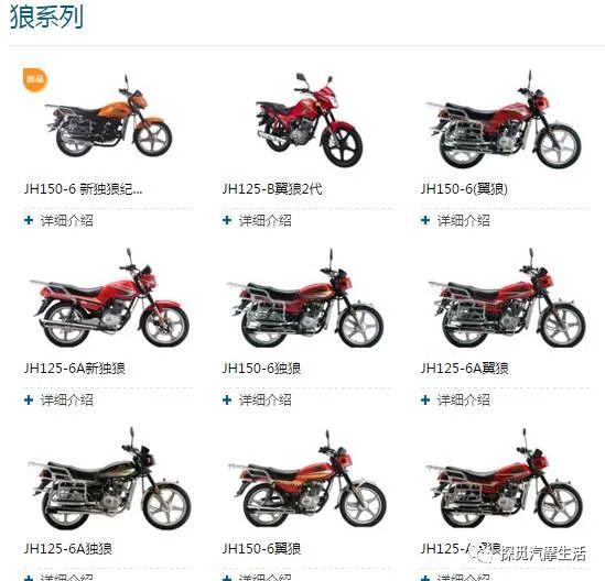 中国摩托车发展史,嘉陵摩托车发展史简介