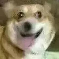 10块当300块用？这9个平替千万别踩雷！