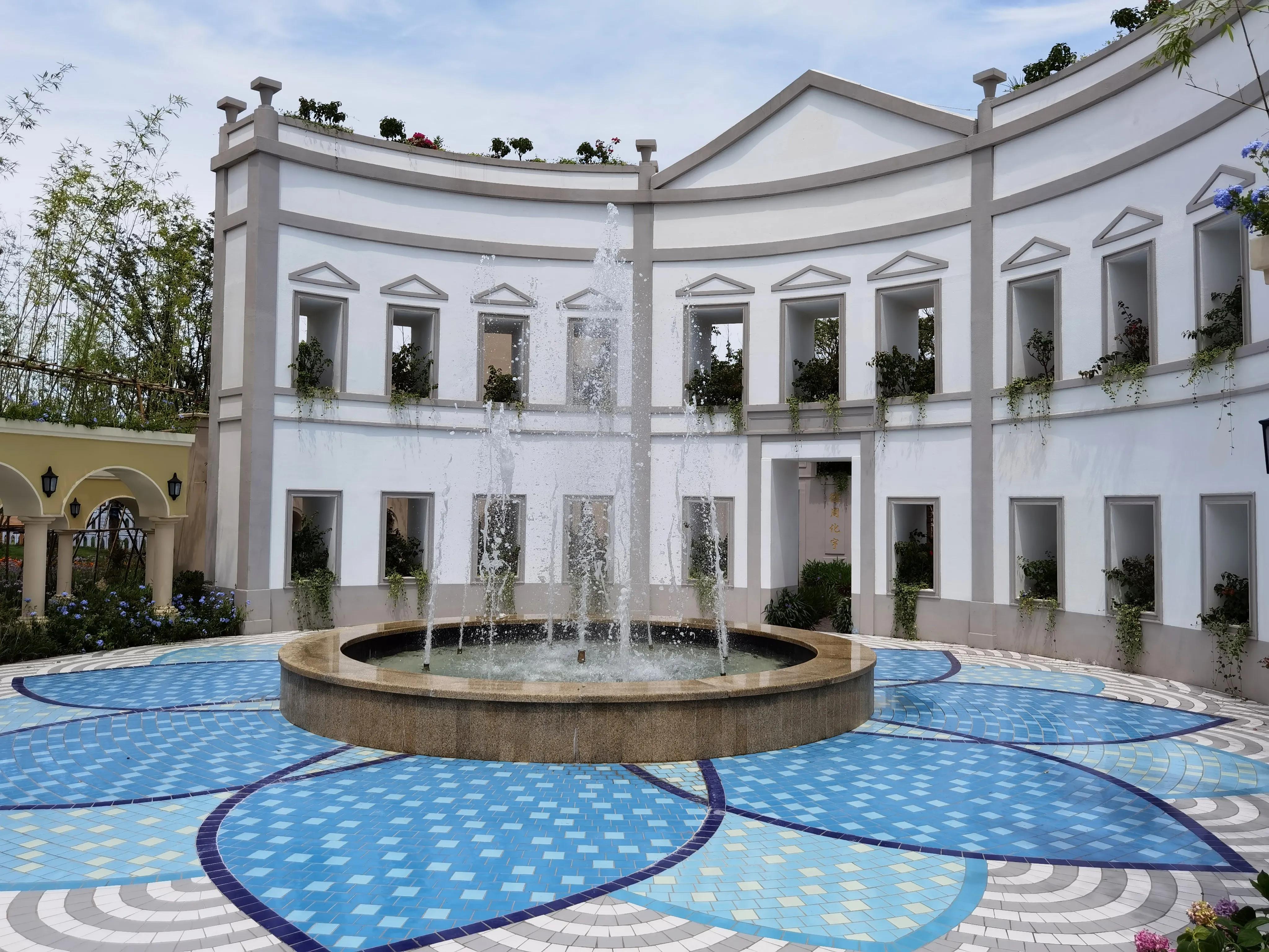 关于崇明花博会,崇明花博会全程花景