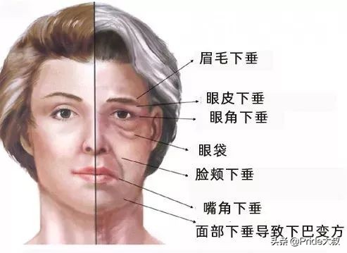 超声刀界面参数,超声刀个人真实案例感受