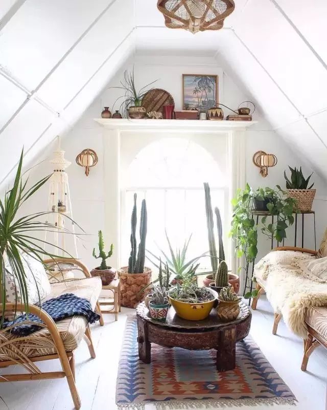 开一家植物美学小店,开一家属于自己的花店