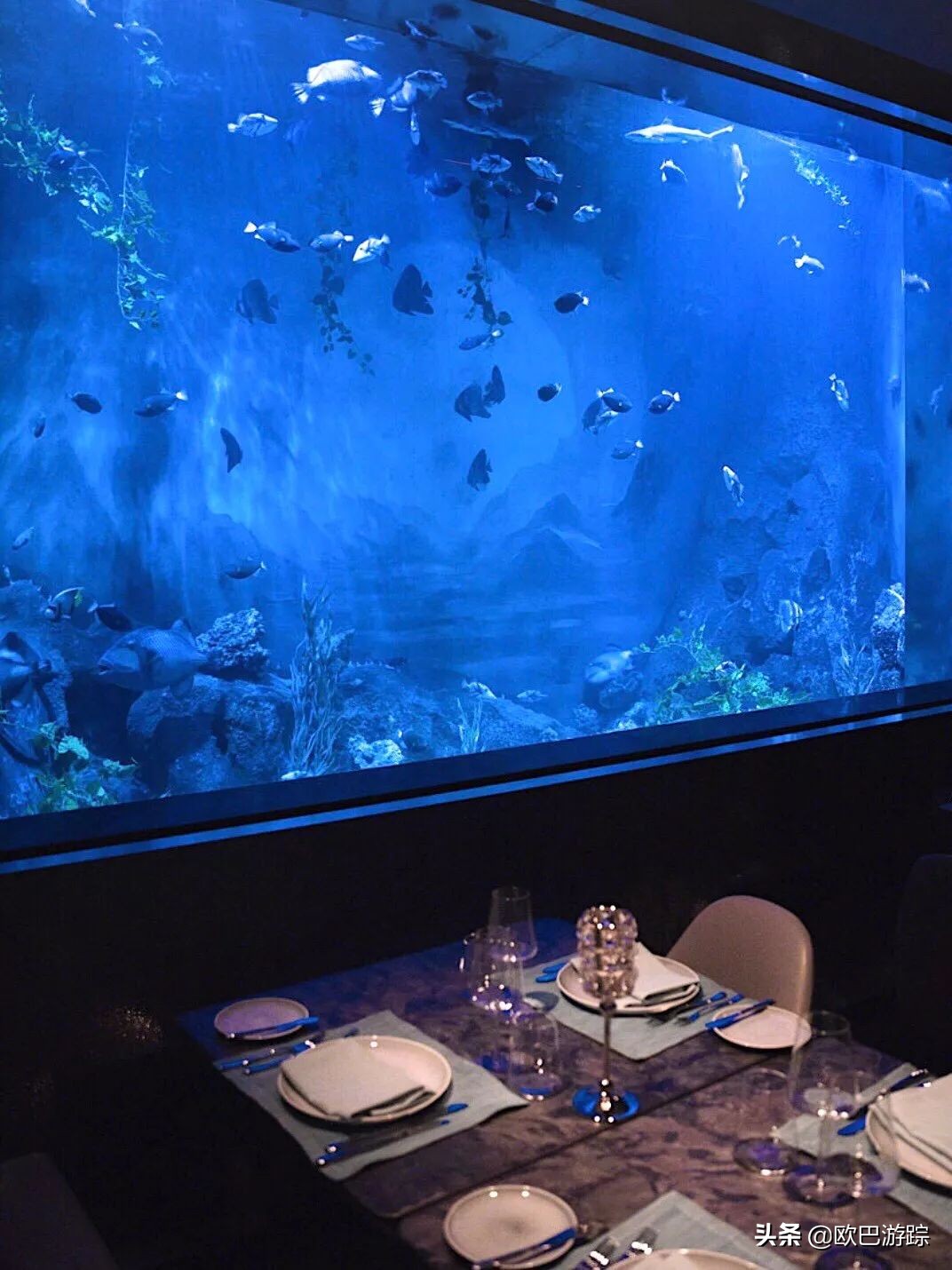 全球唯一八星级酒店耗费200亿打造,世界十大奇迹建筑深坑酒店