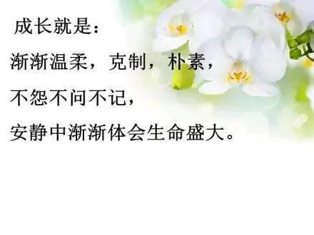 成熟而简短的个性签名温柔且上进,霸气孤独努力的个性签名