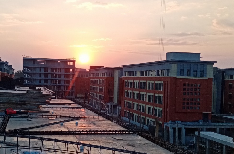 怎样评估一头牛的出肉率,如何评估一头牛值多少钱