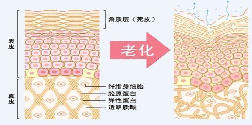 玻色因抗老精华推荐,玻色因胜肽视黄醇三大抗老成分