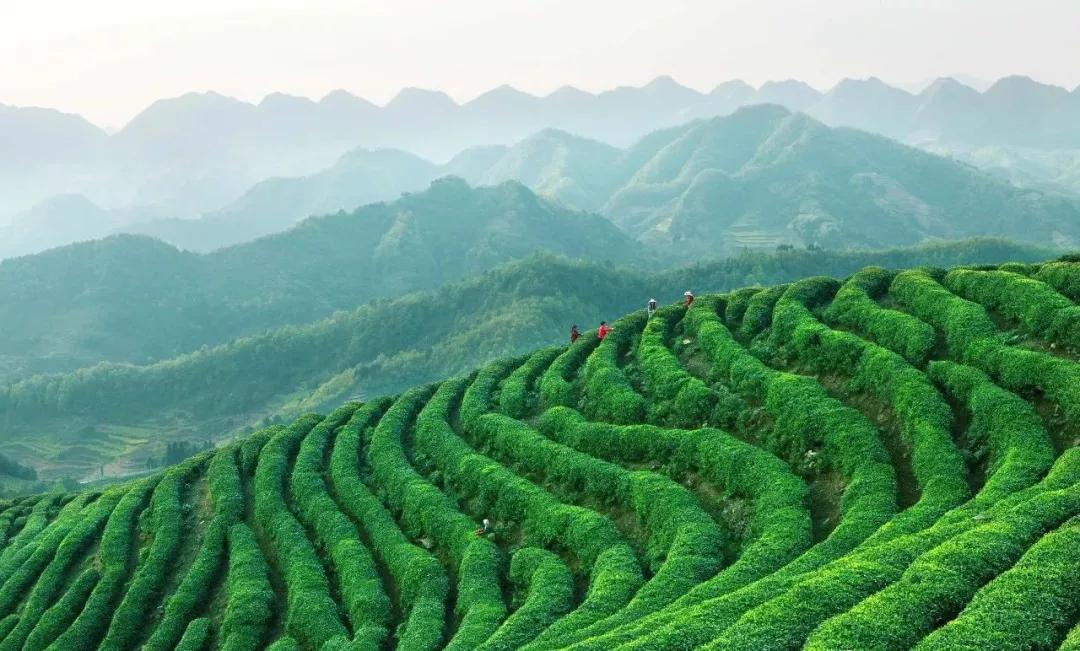 这里是勉县，一个让你流连忘返的地方