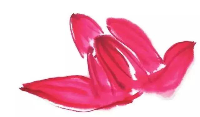 白描荷花的画法图片,如何画荷花白描大片